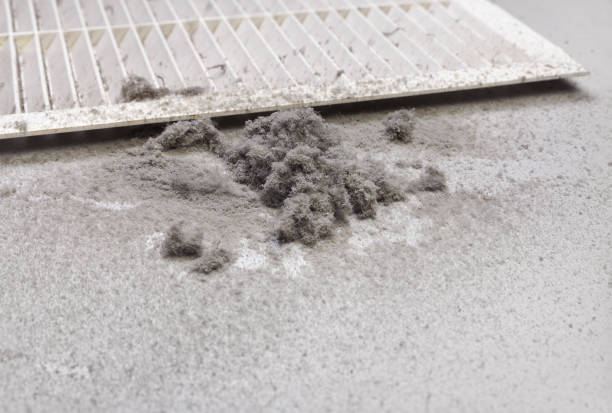 Best Home Air Vent Cleaning  in Cross Roads, TX
