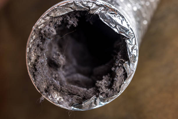Affordable HVAC Duct Cleaning in Cross Roads, TX